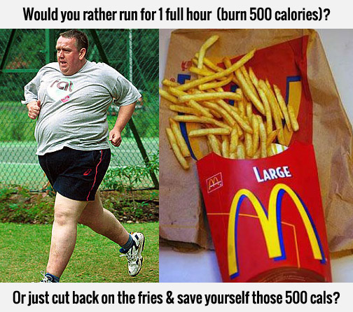 Fit Father 500 calories comparison