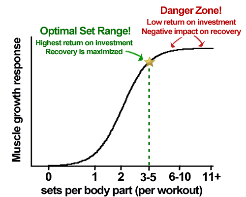 Muscle Loss With Age Chart