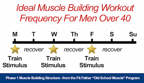 building muscle over 40 training frequency