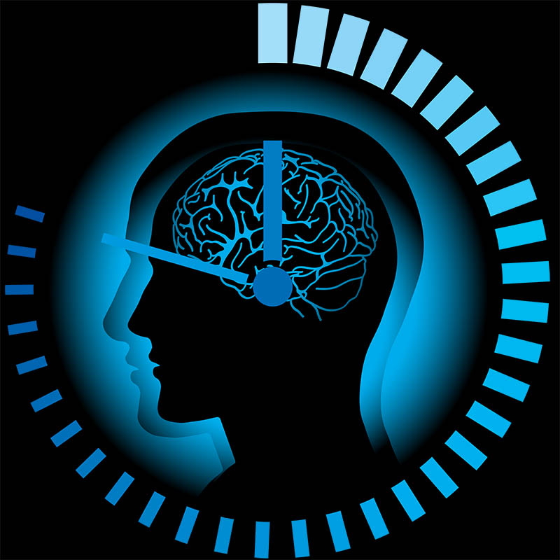 fasting resets circadian rhythm