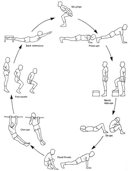 circuit-training-workouts-for-fighters weight loss workouts for men