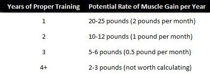 how long does it take to build muscle graphic