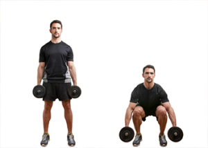squats with dumbells fat loss for men