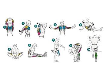 warm up exercises for men