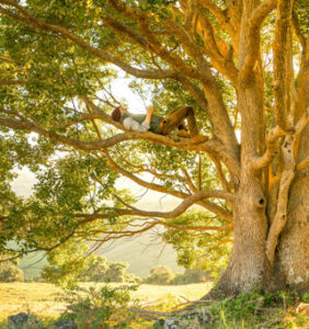 step 3 get comfortable man laying in tree