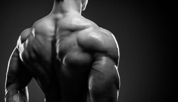 muscular shoulders meadows row