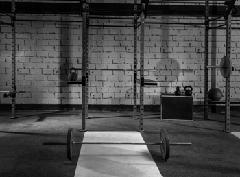 barbell with weights meadows row