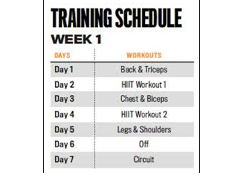 Gym Workout Chart For Weight Loss