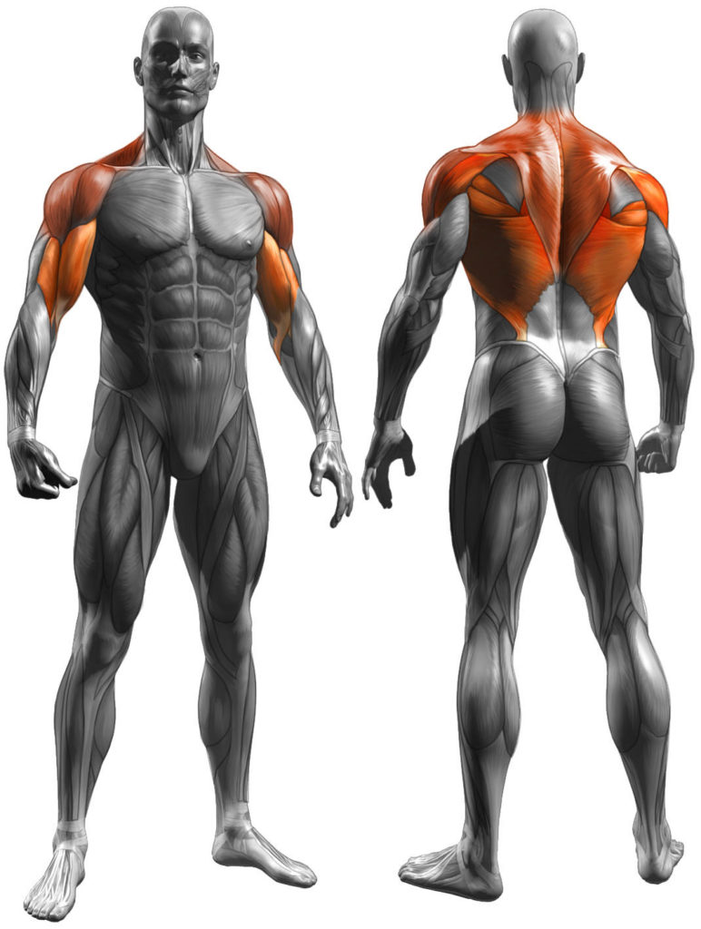 Meadows Row Complete Form Guide and Video Tutorial