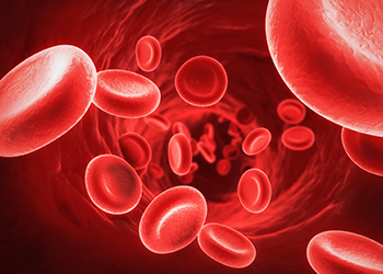 red blood cells body measurements for men