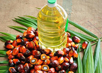 palm oil best cooking oils