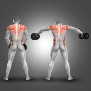 lateral raise how long does it take to get in shape
