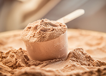 protein powder for muscle building