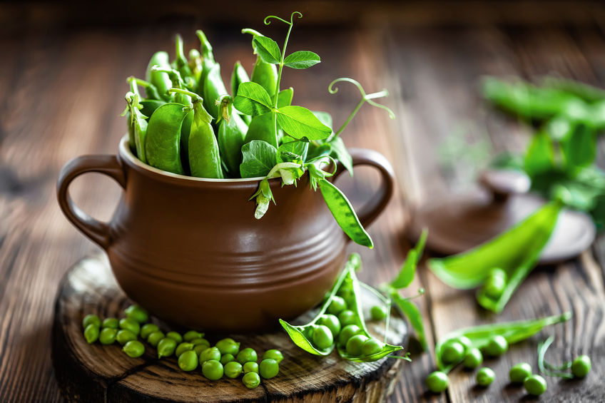 green peas weight loss protein powder