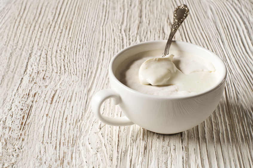 yogurt high protein low fat foods