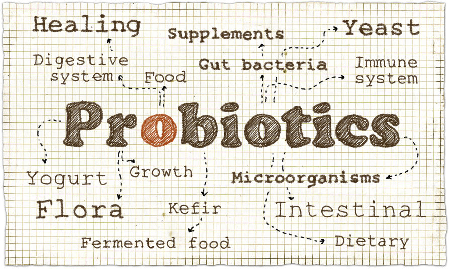 probiotics for men