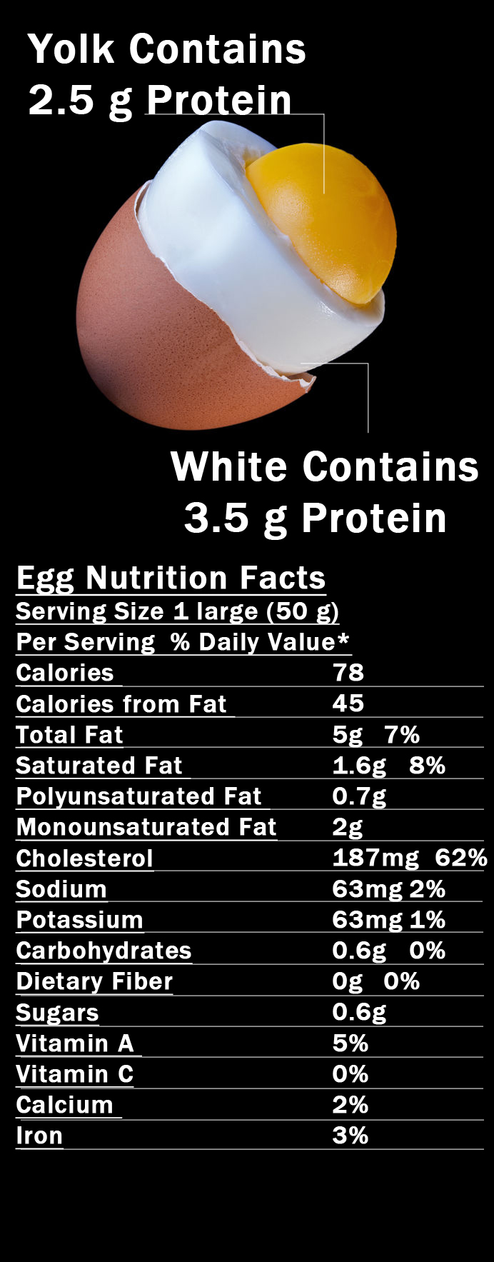 nutritional value of egg protein in yolk vs white best sources of protein