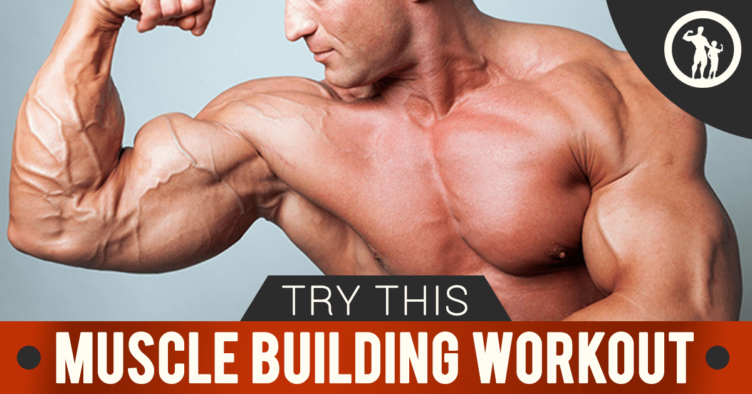 Muscle Building Workout Plan For Men