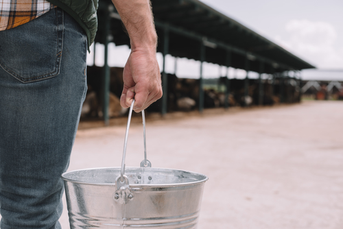 farmer's walk