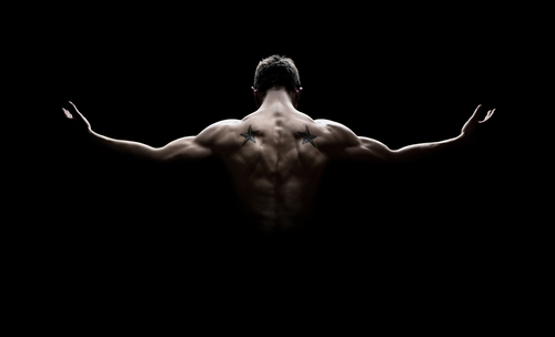 40+ Muscular Build Forearm Human Muscle Strength Stock