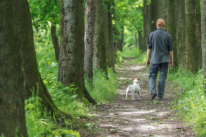man and dog walking on park stress hacks