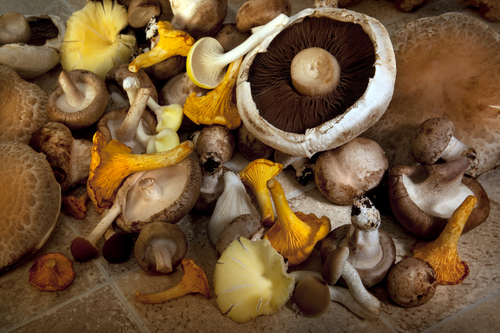 mushrooms fat burning foods for men