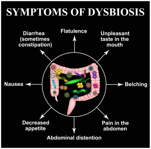 Symptoms of dysbiosis. Dysbacteriosis of the intestine. The large intestine. dysbiosis of colon. Bacteria, fungi, viruses. Infographics. Vector illustration on black background