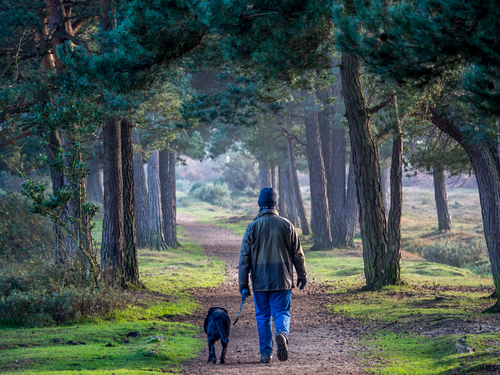 Winter Workouts man walking dog