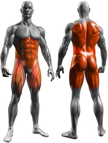 core muscles - core workouts for men