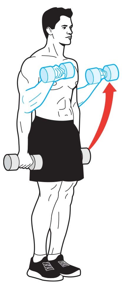 reverse curls starting position