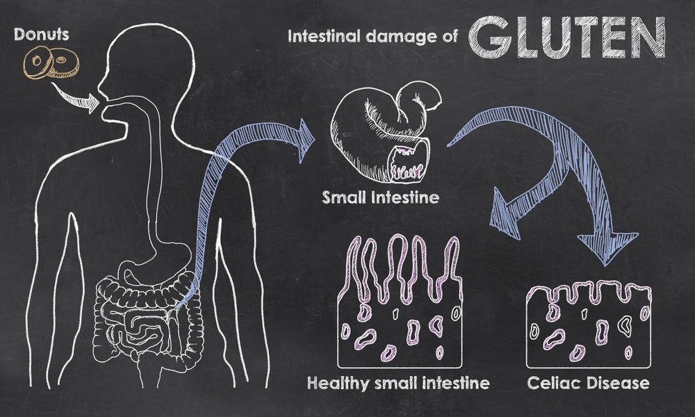 gaining muscle on a gluten free diet