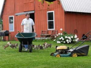 man doing yard work