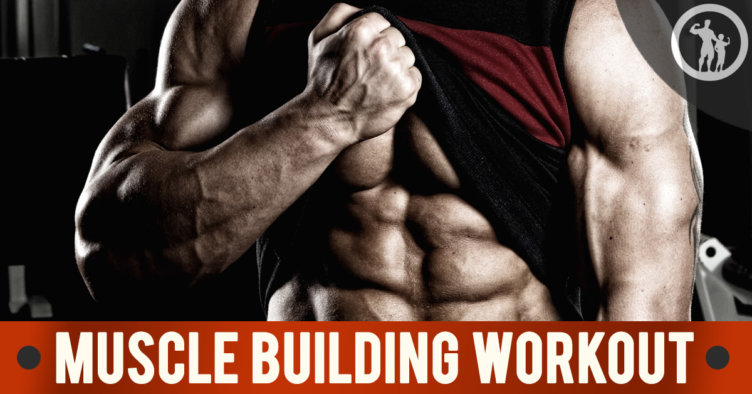muscle building workouts for men
