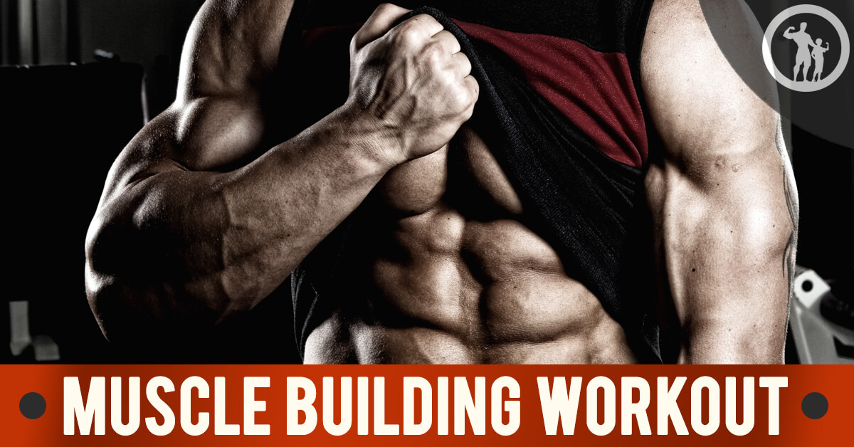 8 Pack Abs Workout: How To Get The Ultimate 8 Pack  Muscle building  workouts, Strength workout, Muscle