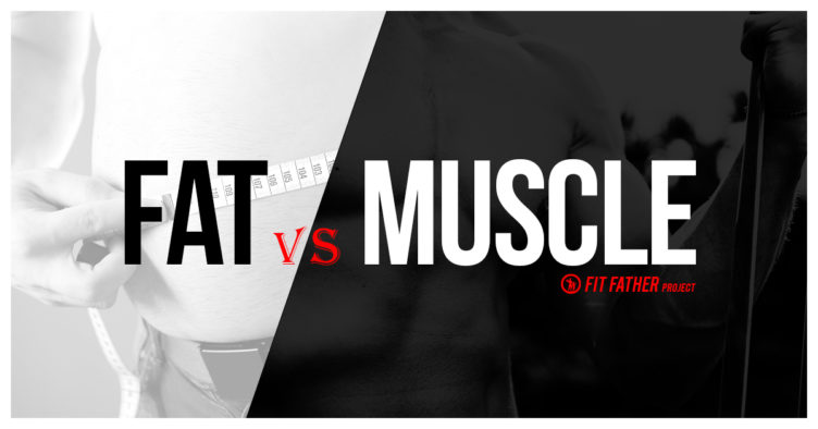 fat vs muscle